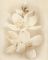 Декор-панно Cersanit Diana Flower 50x40