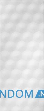 Плитка Атем Соте W 20x50 біла (стіна)