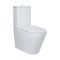 Унитаз компакт Qtap Swan Ultra Quiet с сидением Soft-close QT16222182TW White