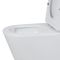 Унитаз компакт Qtap Swan Ultra Quiet с сидением Soft-close QT16222182TW White