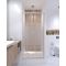 Душові двері в нішу Qtap Pisces WHI208-9.CP5