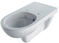 Подвесной унитаз Geberit Selnova Comfort Rimfree 500.262.01.1