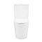 Унитаз-компакт Qtap Scorpio QT14222125ARW без ободка с сиденьем Soft-close