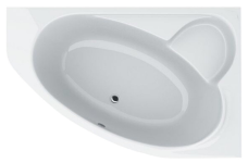 Ванна акриловая Swan Leoni 170х110 с панелью и ножками