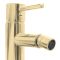 Змішувач для біде REA TESS L.GOLD REA-B8807