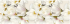 Декор для стен Cersanit Naomi Inserto Flower 20х60