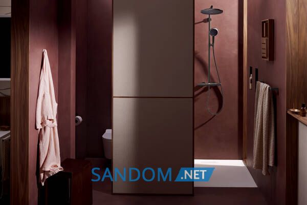 RAINDANCE ALIVE S PURO Showerpipe душова система 300 1jet, з термостатом, шліфованний чорний хром